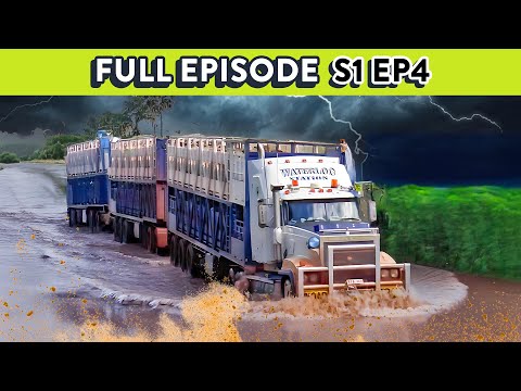 Livestock Trucker’s at Risk of Losing an Entire Years Income | Outback Truckers - S1 Ep 4 FULL EP