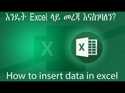 How to Insert Data in Excel | Beginner’s Guide እንዴት በቀላሉ ኤክሴል ላይ  መረጃ ማስገባት እንችላለን ለጀማሪዎች?