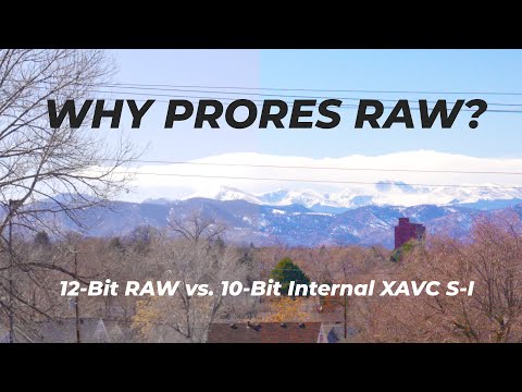 Is RAW Worth It? 12-Bit ProRes RAW vs. 10-Bit 4:2:2 XAVC S-I Codecs Compared | Sony FX3