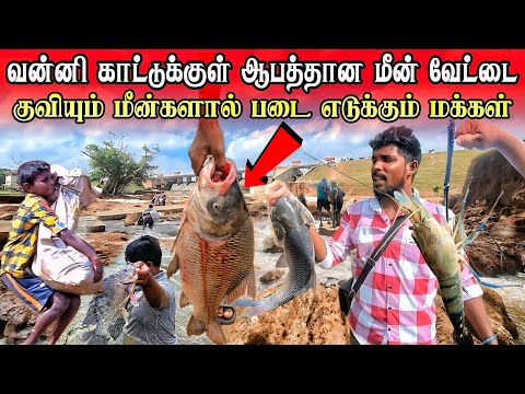 🛑வன்னி காட்டுக்குள் ஆபத்தான மீன் வேட்டை ! குவியும் மீன்களால் படை எடுக்கும் மக்கள்