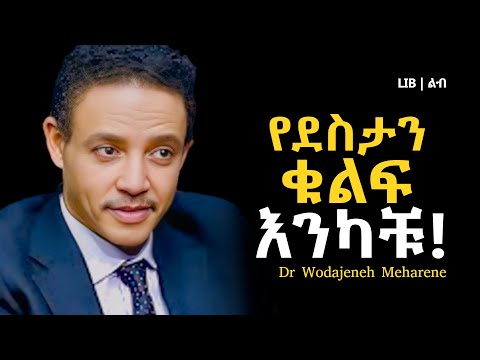 "እኔ ሞክሬው ደስተኛ አድርጎኛል!!!" ዶ/ር ወዳጄነህ መሃረነ | Dr Wodajeneh Meharene | Laba | Dawit dreams | LIB