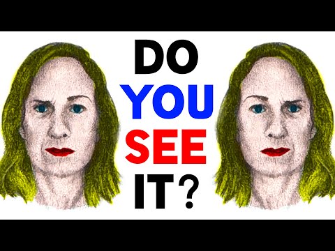 The illusion that broken the internet