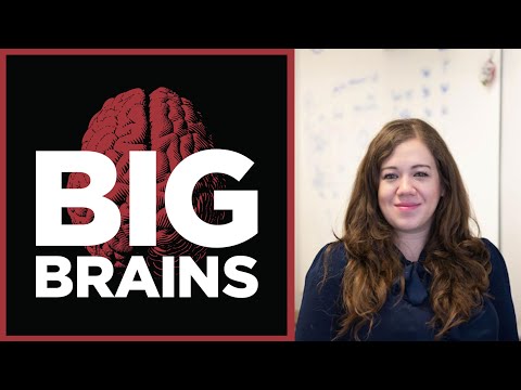 How trustworthy is our own memory? With UChicago psychologist Wilma Bainbridge