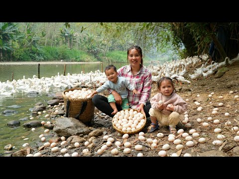 30 days of harvesting duck eggs, giant fish to sell at the market, cooking for my little daughter