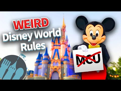 WEIRD Disney World Rules