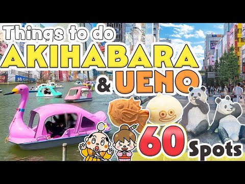 Things to do in Akihabara and Ueno Tokyo / Japan Travel Update 2024