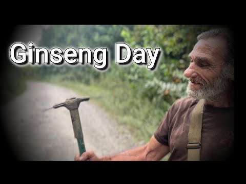 Preserving the Appalachian Tradition of Hunting Ginseng: Eddie’s Story