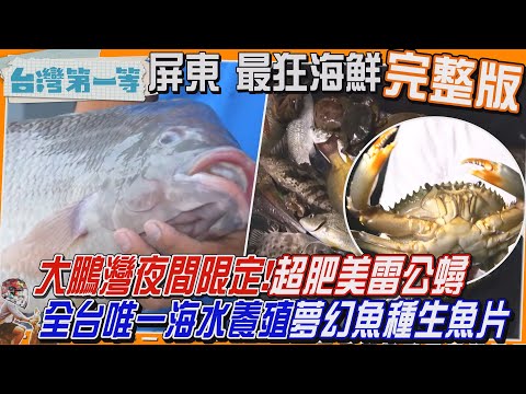 [全新] 屏東【"超肥美雷公蟳"大鵬灣夜間限定！/全台唯一海水養殖"夢幻魚種"現殺現吃 生魚片】│2024.12.08│《台灣第一等》完整版