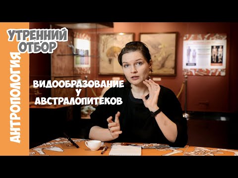 Новый взгляд на массивных австралопитеков. Елена Сударикова.