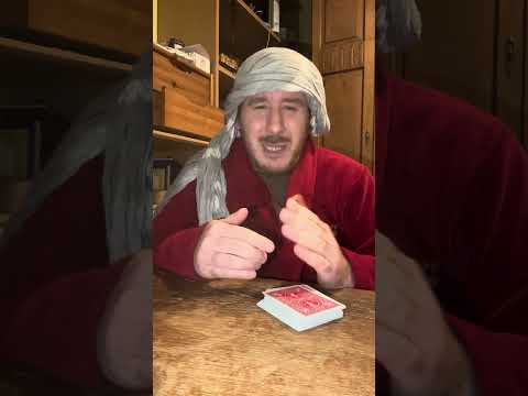 Best Palm of 2026 TUTO