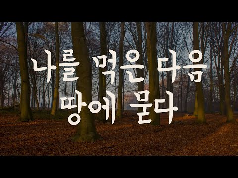 🎧 죽음과 재회