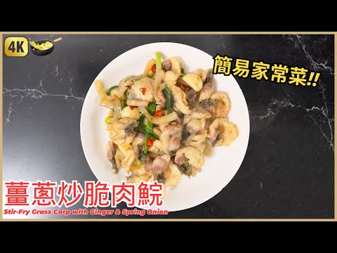 懶人快手菜【薑蔥炒脆肉鯇】3分鐘就炒好 ｜ Stir-Fry Grass Carp with Ginger & Spring Onion