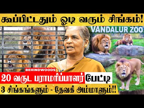 கணவரை கொன்ற  மிருகம் - இருந்தும் சிங்கத்தை 20 வருடமாக பராமரிக்கும் பெண்!! பேட்டி