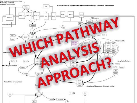 3 Approaches to Pathway Analysis