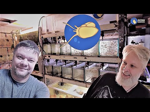 Наш второй дом