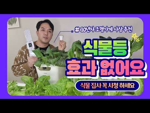 쿠자이너 식물등이 좋은 이유 실험영상