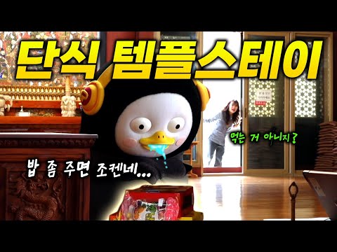 단식이 이렇게 무섭습니다(쿠키有) | 단식 템플스테이 적응기 | EBS 연습생의 저속노화 다이어트 식단 [EP.369](ENG/JPN)