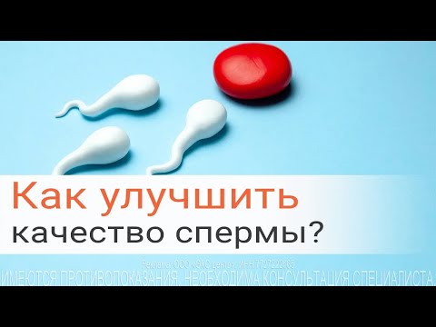 Как улучшить (повысить) качество спермы