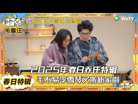 【2025年春日乔迁特辑】毛雪汪开播！搬新家啦！毛不易李雪琴称体重猜密码！ |《毛雪汪2025年春日》 #综艺 #毛雪汪 #李雪琴 #毛不易