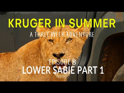 KRUGER IN SUMMER - a three week adventure - LOWER SABIE Part 1 (Episode 8)