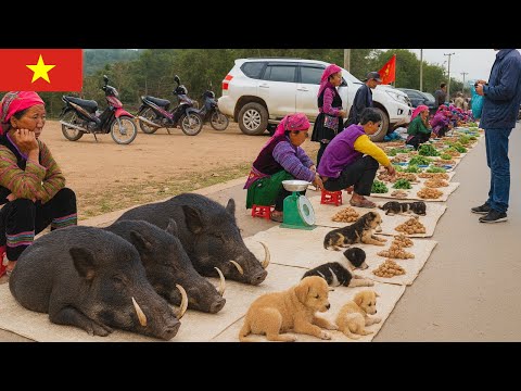 Vietnam's Unique Bridge Market - Buffalo Meat and Local Culture | Rural Market