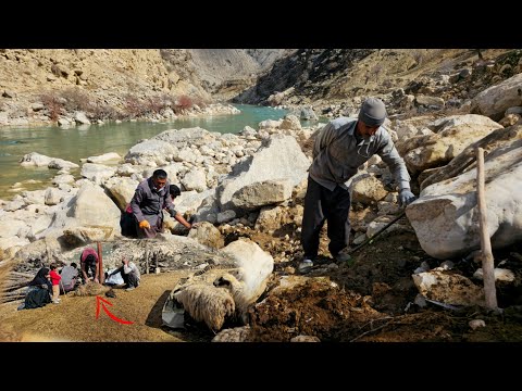 Nomadic Life: Creating Water Path for Nomadic Livestock | Terrible Incident for Nomadic Livestock🐑💦