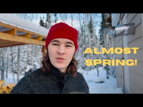 Preparing for Spring | Alaska Homestead