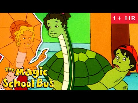 The Class Transforms into Animals | Full Episodes | The Magic School Bus | Scholastic Classic