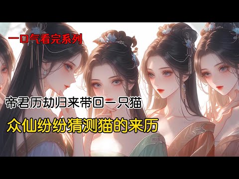 我是只普通的橘猫，在凡间修炼二百年，却被下凡历劫的帝君看中带了回去#古风小说 #完结文 #一口气看完 #小说