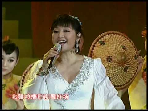 殷秀梅 - On the Field of Hope 在希望的田野上