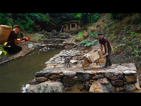 Making a Wheelbarrow to Carry Stones for the House Foundation, Setting Traps for Wild Chickens.