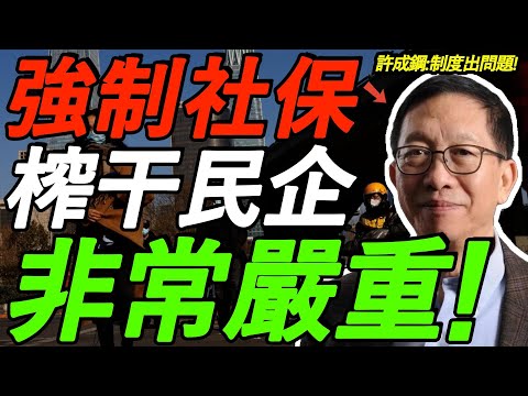 【重磅警告】许成钢：非常严重！强制社保、榨干民企，制度出大问题，生存艰难！