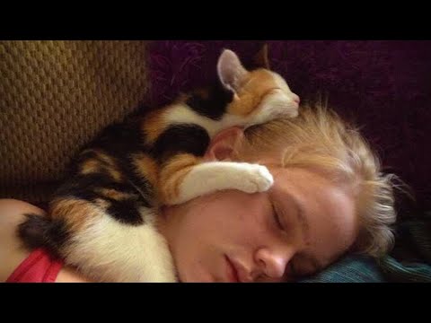 When Cute Cats Love You in Their Own Special Way But It's Real Love 🥰🐱