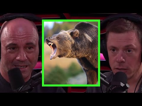 Steve Rinella Details After Effects of Grizzly Bear Encounter