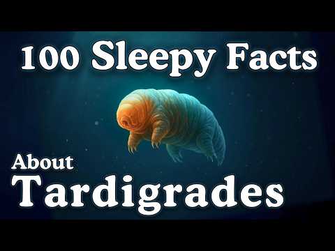 100 Tardigrade Facts to Fall Asleep To — Dreamy Science