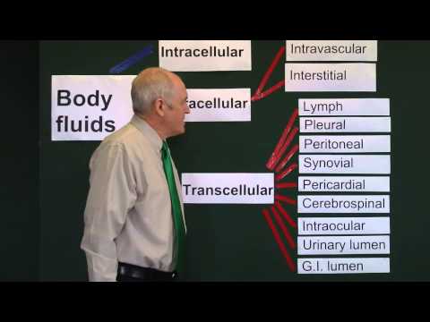 Body fluids 1, Fluid compartments