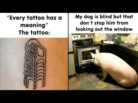 Memes So Relatable, You Can't Stop Laughing 😂 | HahaHub