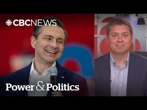 Poilievre 'will be back in the House in no time': Andrew Scheer | Power & Politics