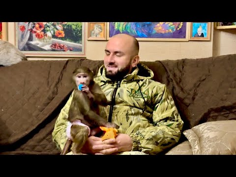 Finya bullied Basya, and Anfisa fell so in love with Denis that she never left his side.