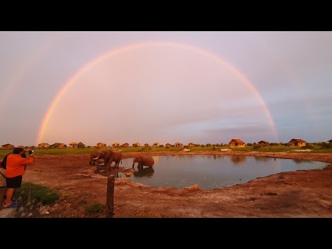 Elephant Sands, Botswana