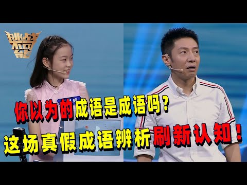 我们认为的“成语”真的是成语吗？30个成语0.5秒闪现 这场真假成语辨析绝对刷新你的认知！ | 挑战不可能 Impossible Challenge