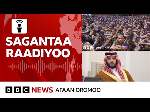 Oromiyaatti dirqiin leenjii waraanatti naqaa jiru - Maatiifi jiraattota | BBC News Afaan Oromoo