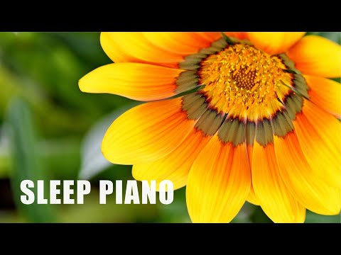 All Night Sleep Music: Kazuki | Relaxing Piano for Deep Rest