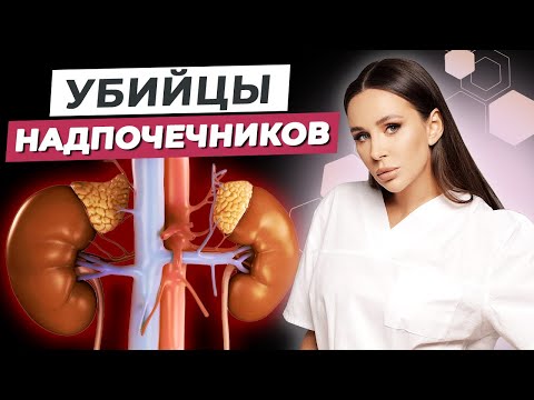 Как быть бодрым и продуктивным целый день? / Что такое надпочечники?