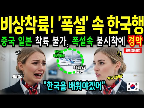 [해외감동사연] 덴마크 미녀승무원, ‘폭설’로 중국일본 폐쇄! 인천공항 착륙 5분만에 무릎 꿇은 이유