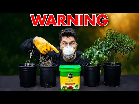 I Tested overfertilizing my plants and NEVER thought this would happen!