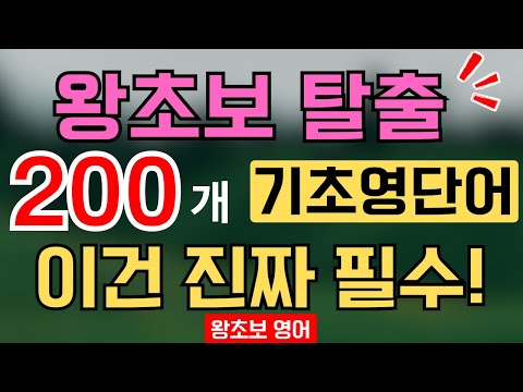 왕초보 탈출! 기초 영어단어 200개|틀어두면 자동으로 외워지는 생활영어 (한글발음 포함)