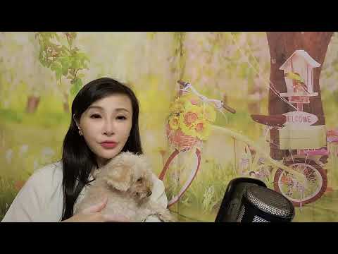 冬至天赦2 靈擺489 2025.12.20 16:00@晴騫—線靈擺女王玄學咨詢Whatapp:97773938