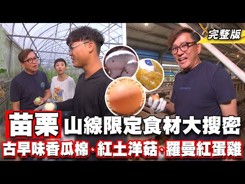 《詹姆士出走料理》苗栗山線產地限定食材大搜密! 古早味香瓜棉、紅土無毒洋菇與吃野菜的"自然放牧蛋雞"-第230集-2023/10/15