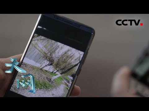 《天网》 照片里的秘密：嫌犯到案拒绝交代罪行 手机里的一张照片却出卖了他 | CCTV社会与法